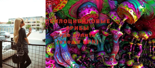 тгк Корсаков