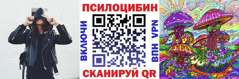 Купить где  Печоры  Галлюциногенные грибы MAGIC MUSHROOMS 